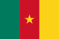 កាមេរូន ទង់ជាតិ